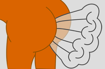 Qué pasaría si no se expulsaran los gases del intestino